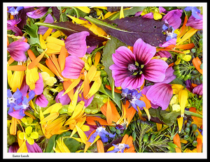 Ensalada floral en El Valero